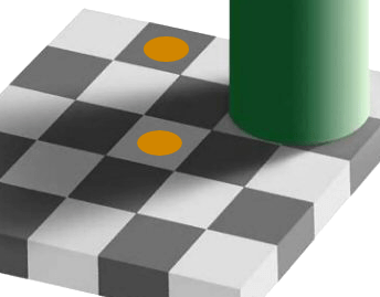 An image of a checkerboard, where identical colors look different if they are in shadow.